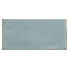 Emser Antigo - Mist 2" x 5' Ceramic Tile