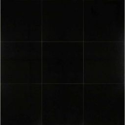 Bedrosians Absolute Black - 18" x 18" Honed Granite Tile