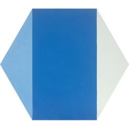 Granada Tile - Norwich 1811 D Cement Hexagon Decos