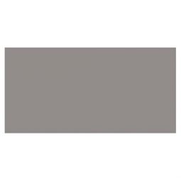 Emser Back to Basics -  Aluminum 3" x 6" Glossy Ceramic Tile