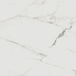 Zio Renaissance - Calacatta Polished 24" x 24" Porcelain Tile
