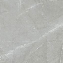 Zio Renaissance - Amani Grey Polished 24" x 24" Porcelain Tile