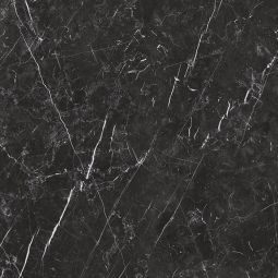 Zio Renaissance - Nero Marquina Polished 24" x 24" Porcelain Tile