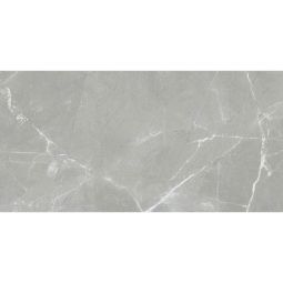 Zio Renaissance - Amani Grey Matte 12" x 24" Porcelain Tile