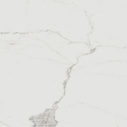 Zio Renaissance - Calacatta Matte 24" x 24" Porcelain Tile