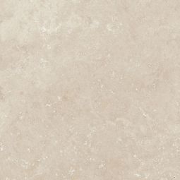 Zio Renaissance - Marfil Matte 24" x 24" Porcelain Tile