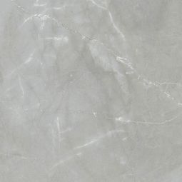 Zio Renaissance - Amani Grey Matte 24" x 24" Porcelain Tile