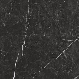 Zio Renaissance - Nero Marquina Matte 24" x 24" Porcelain Tile