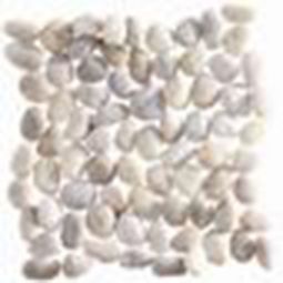 Puccini Caribbean - St. Lucia Honed White 12" x 12" Pebble Mosaic