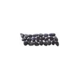 Puccini Caribbean - St. Vincent Honed Black Pebble Border 4" x 12"