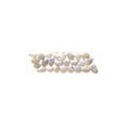 Puccini Caribbean - St. Lucia Honed White Pebble Border 4" x 12"
