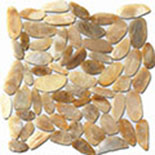 Puccini Caribbean St. Kitts Pebbles