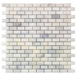 Adriatica Calacatta 5/8" x 1-1/4"